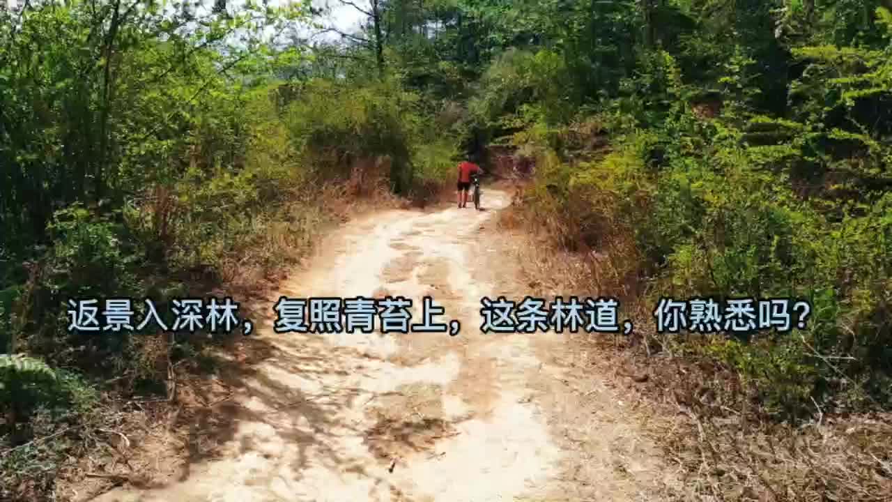 昆明骑行，返景入深林，复照青苔上，这条林道，你熟悉吗？